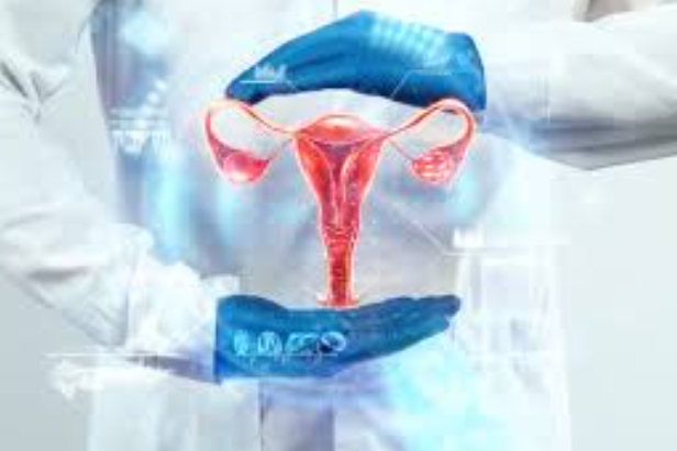 Comprehensive Urogynecology Care in Nashik Expe... main image