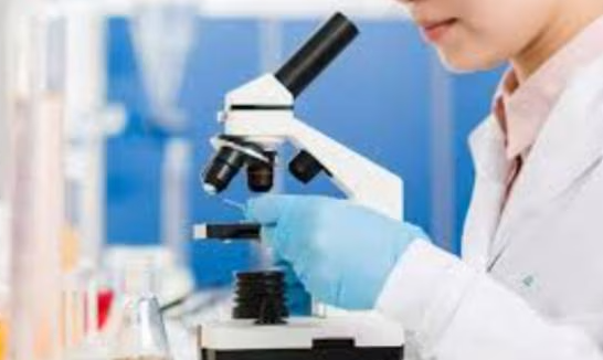 Comprehensive Diagnostics Services in Nashik Re... main image