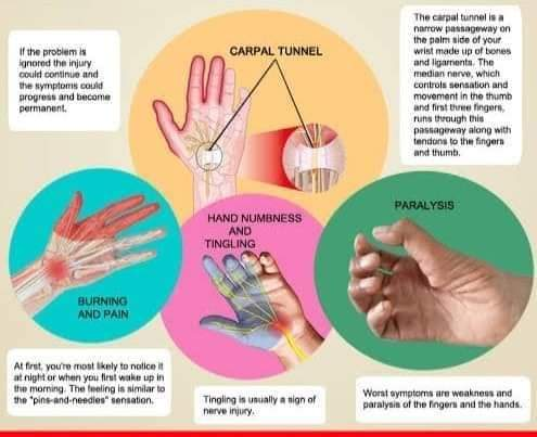 Physiotherapy clinic in Tambaram
Are you Looking f... main image