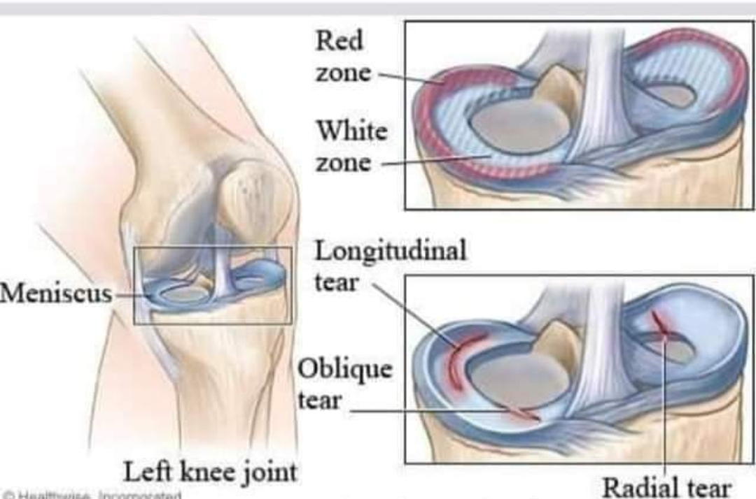 Physiotherapy clinic in Tambaram
Are you Lookin... main image