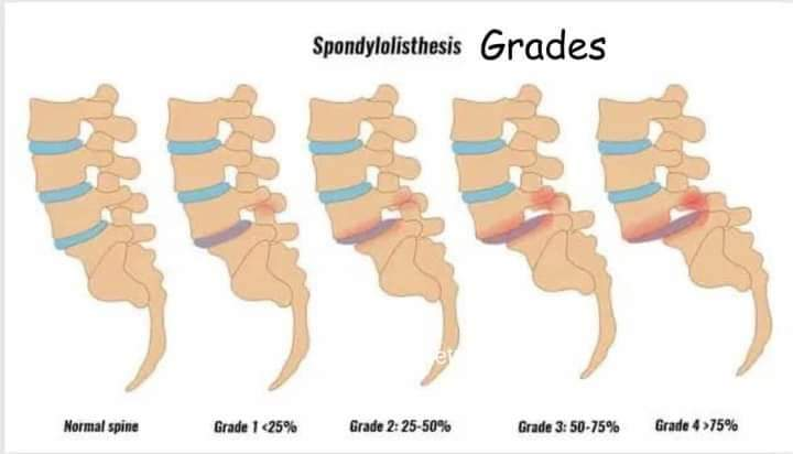 Physiotherapy clinic in Tambaram
Are you Lookin... main image