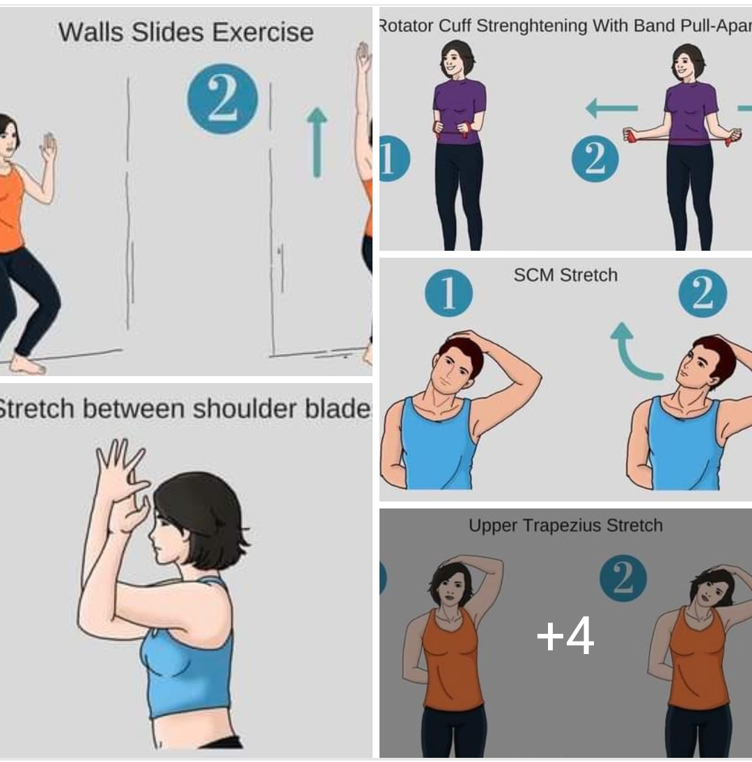 Physiotherapy clinic in Tambaram
Are you Looking f... main image