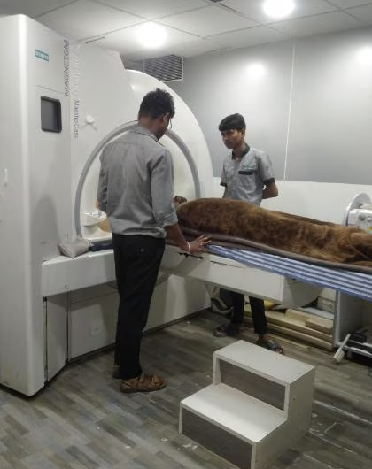 MRI at Matrix Scan Centre, Nashik Advanced MRI ... main image