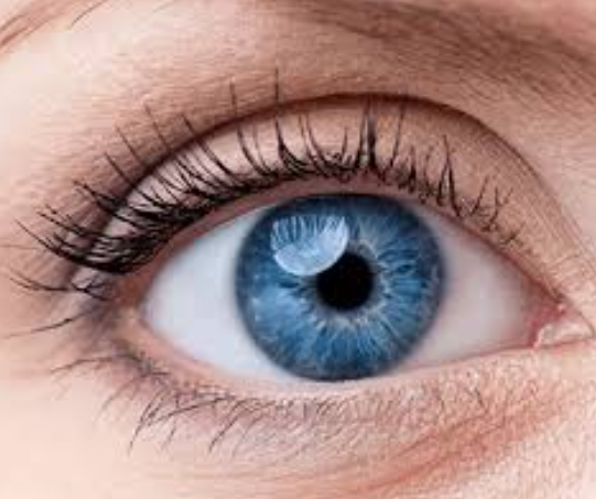 Hole in Retina Treatment at ISHA NETRALAYA Comp... main image