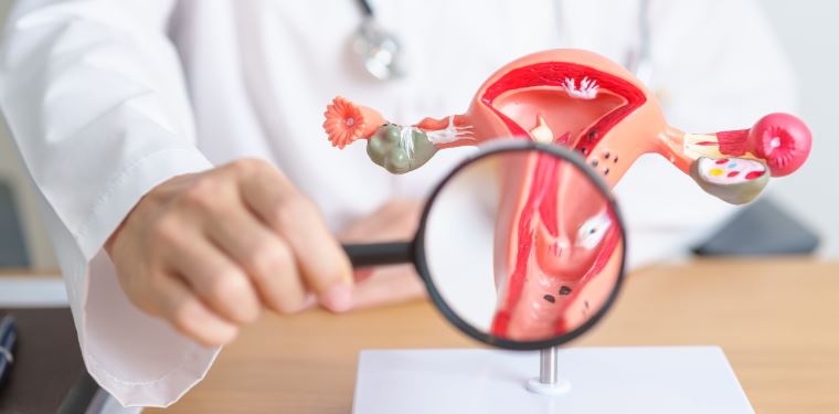 Leading Hysterectomy Care at Green City Materni... main image
