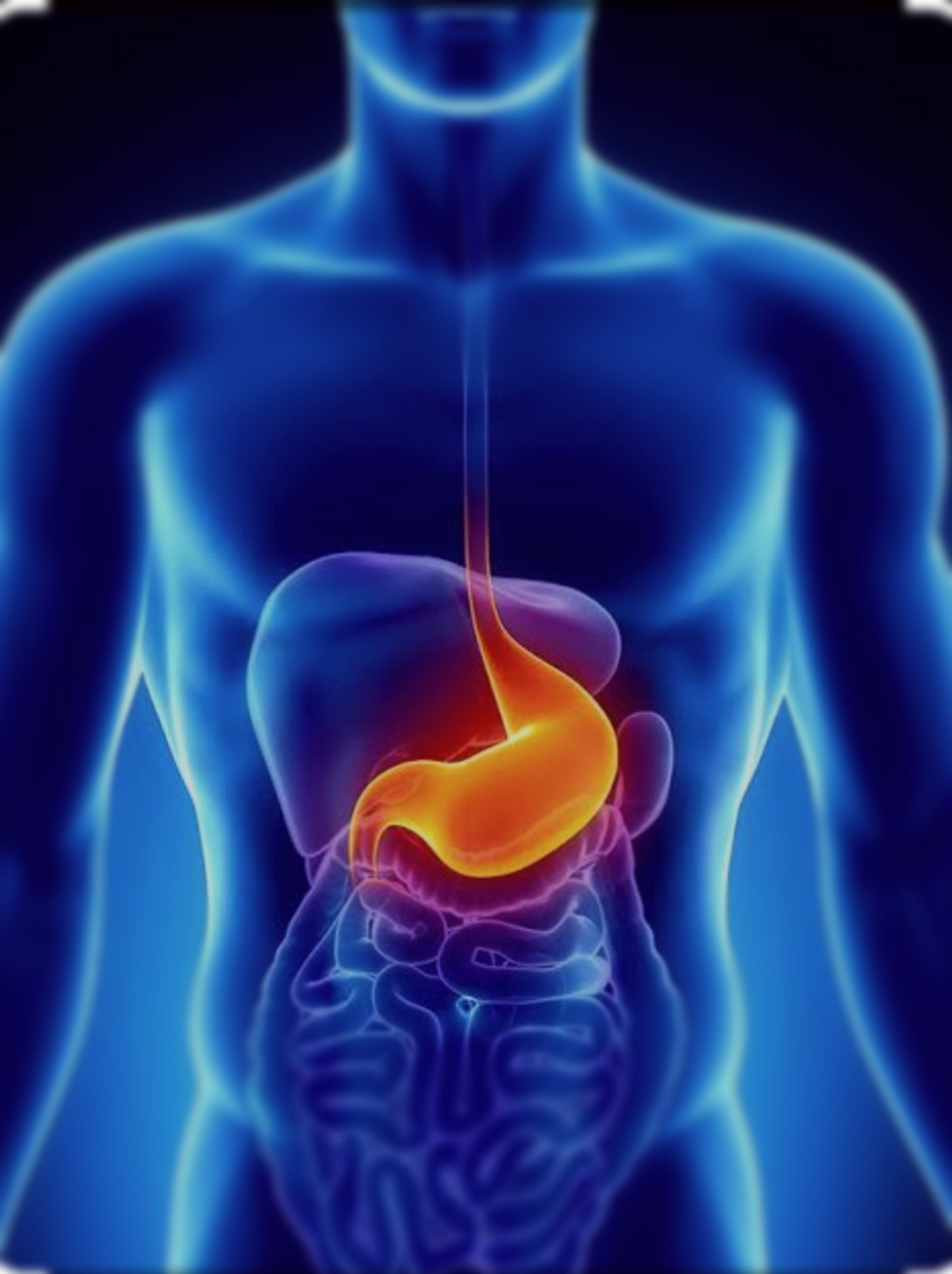 Acidity or acid reflux and Gastritis are common... main image