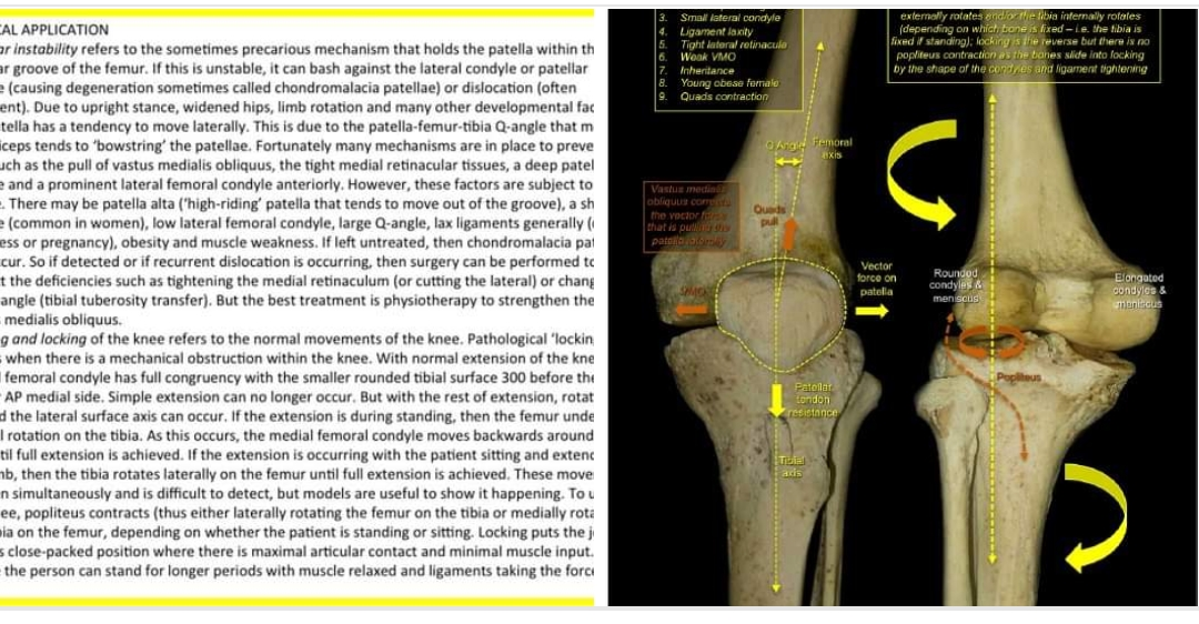 Physiotherapy clinic in Tambaram
Are you Looking f... main image