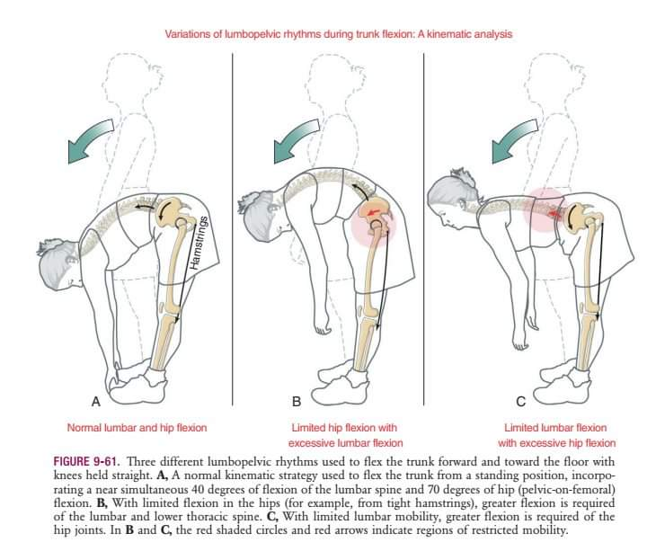 Physiotherapy clinic in Tambaram
Are you Looking f... main image