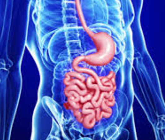 Surgical Gastrologist at S A Hospital, Chennai Adv... main image