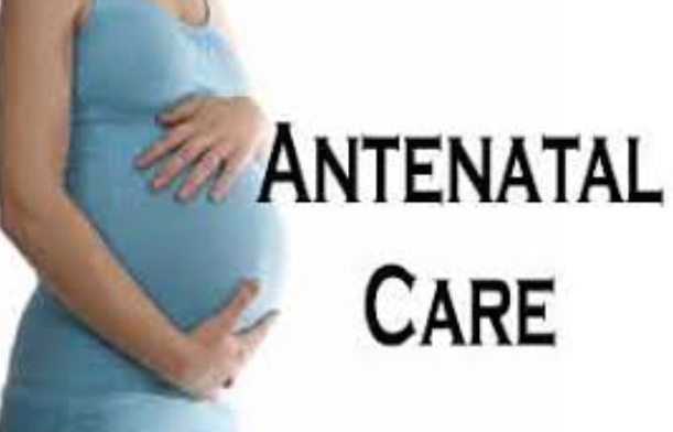 Exceptional ANC Care at LifeShell Hospital Qual... main image