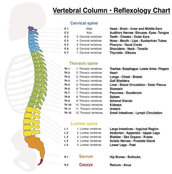 Physiotherapy clinic in Tambaram
Are you Looking f... main image