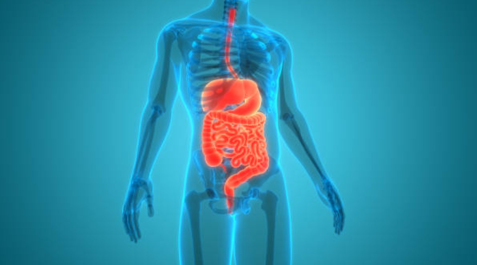 Premier Gastroenterology Services at Galaxy Mul... main image