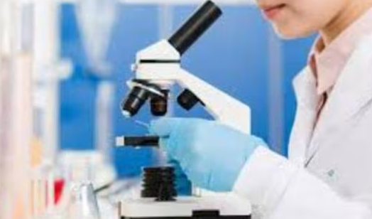 Diagnostic Services at Matrix Scan Centre, Nash... main image