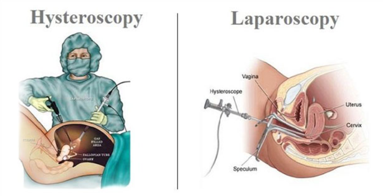 Laparoscopic and Hysteroscopic Surgical Centre ... main image