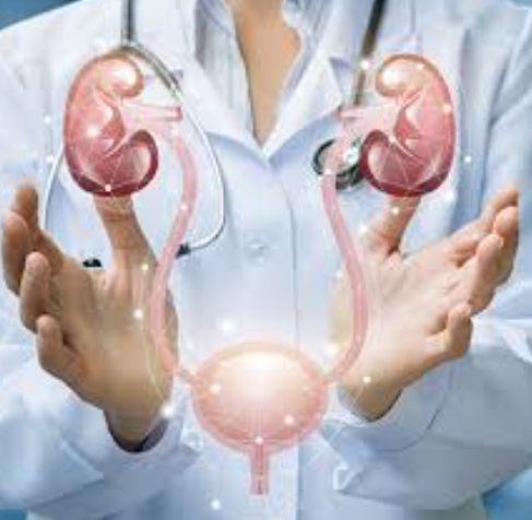 Urologist at S A Hospital, Chennai Expert Urology ... main image