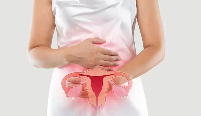 Expert Menopause Management at Green City Mater... main image