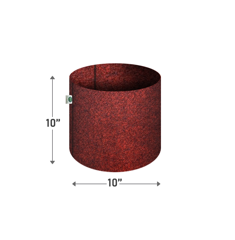 update image