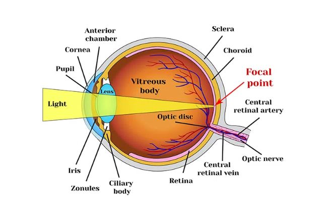 Accurate Refractive Error Correction at Green C... main image