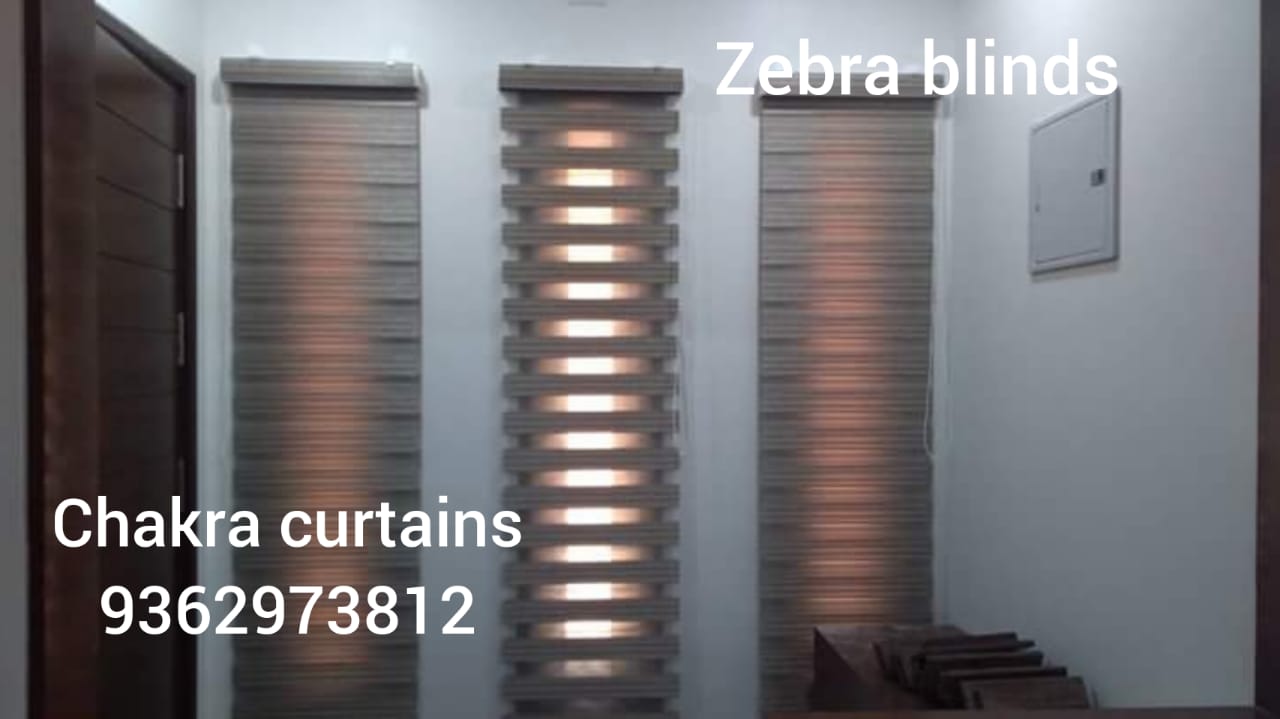 zeebra bli