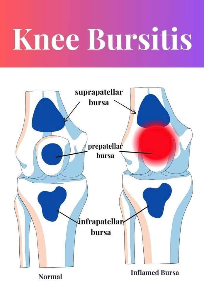 Physiotherapy clinic in Tambaram
Are you Looking f... main image