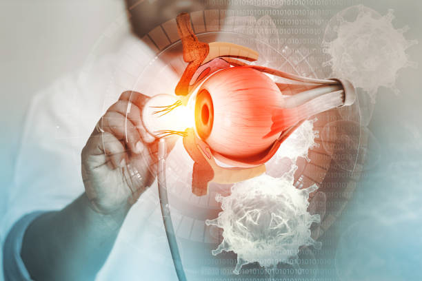 Eye Care Services at