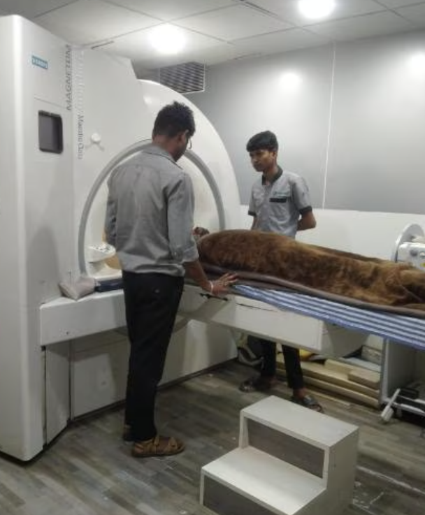MRI Scans in Nashik At Matrix Scan Centre in Na... main image