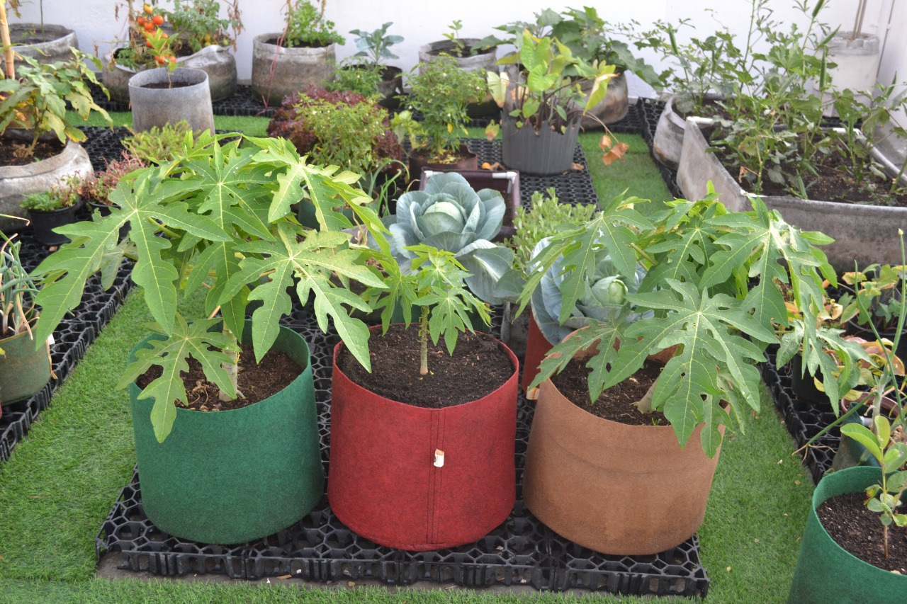 update image