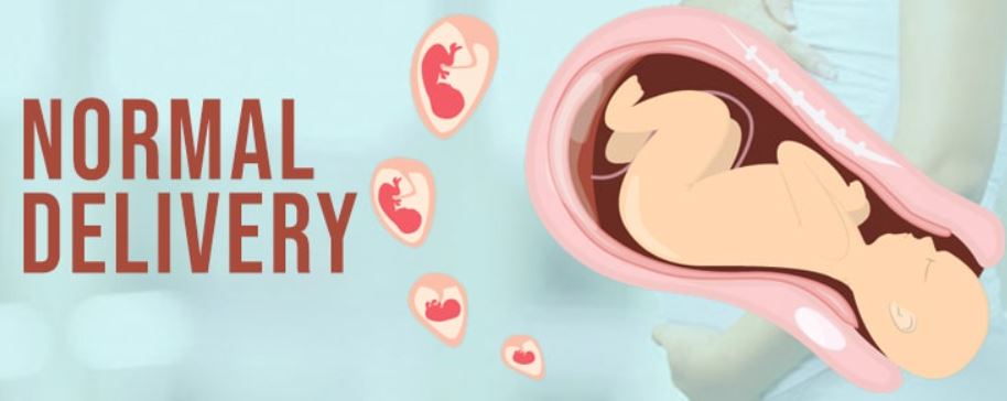 Normal Delivery in Nagpur Green City Maternity Hos... main image