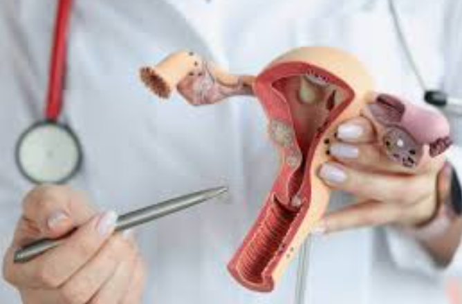 Comprehensive Gynecology Services for Women’s H... main image