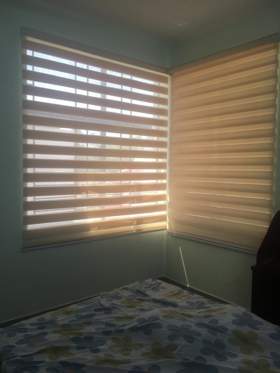 zeebra bli