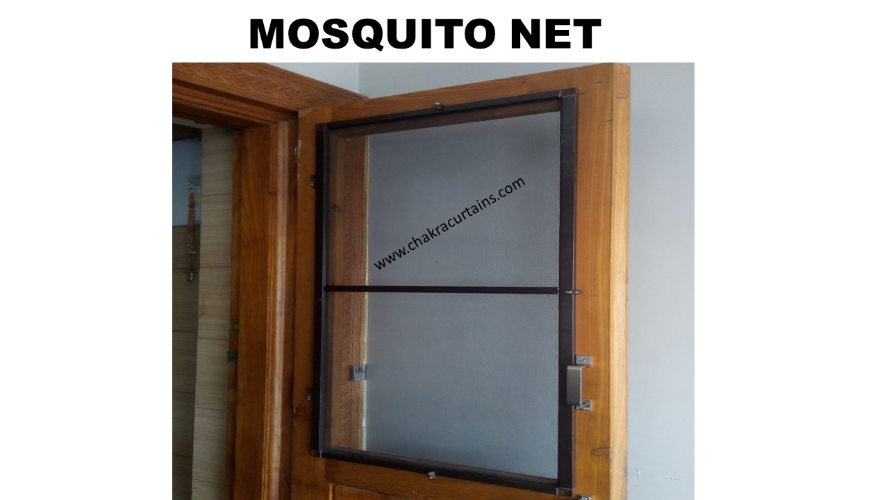 mosquito n