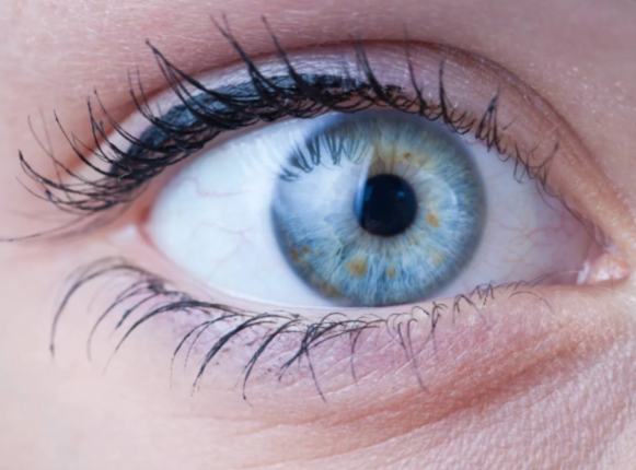 Comprehensive Cornea Treatment at Isha Netralay... main image