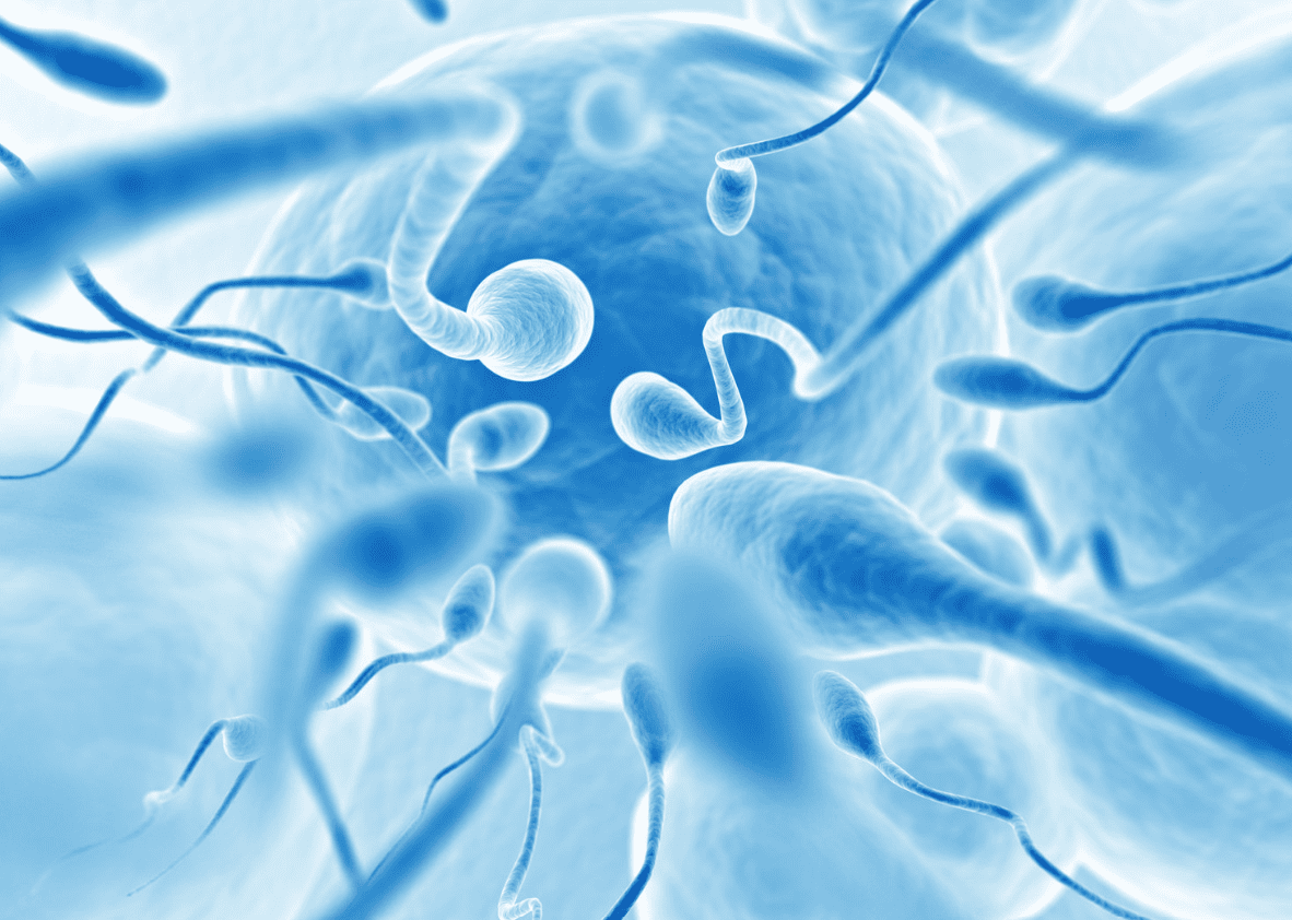Andrology Services at Galaxy Multispeciality Ho... main image