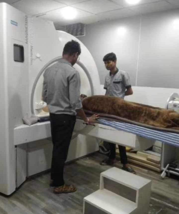 Matrix Scan Centre: Comprehensive MRI Services ... main image