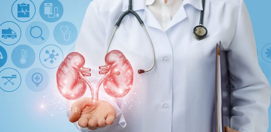 Nephrology and Dialysis Services in Pune Managi... main image