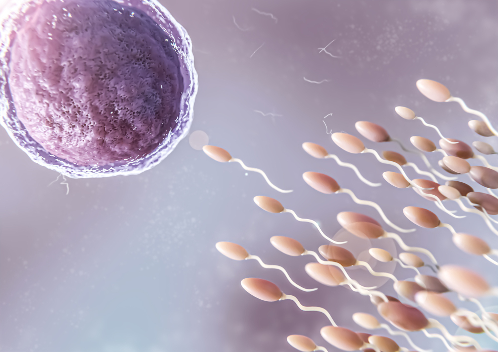 Andrology Services at Galaxy Multispeciality Ho... main image