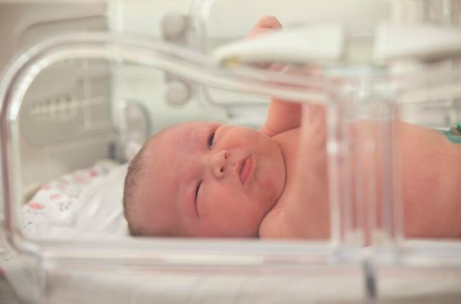 NICU and PICU Hospitalization Services at BLISS... main image