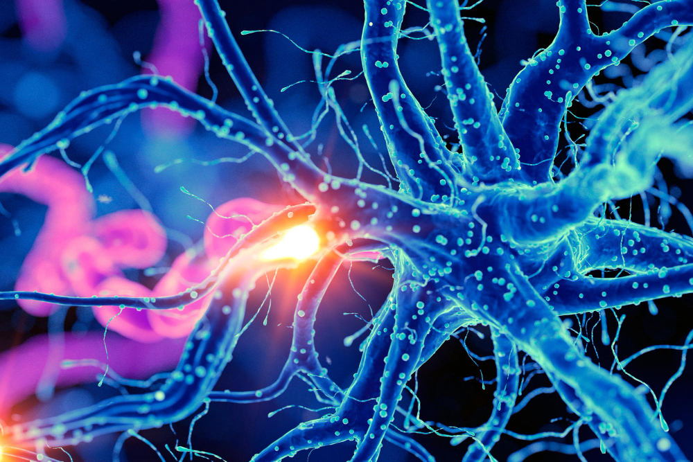 Best Neurology Treatments in Mumbai At Galaxy M... main image