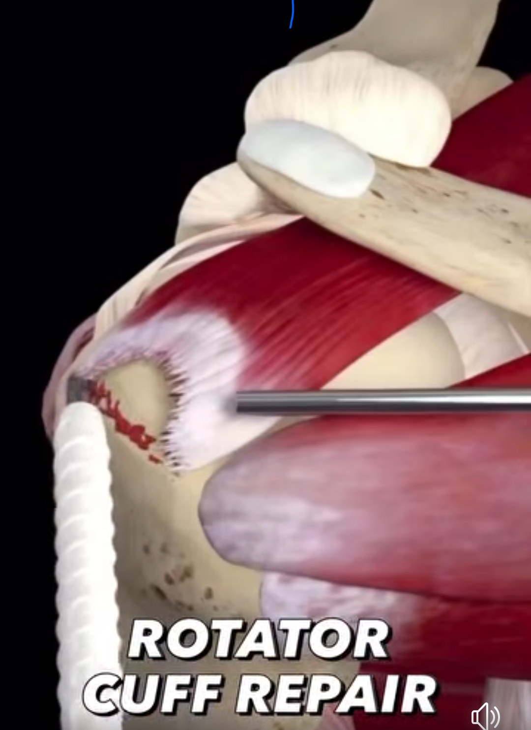 Physiotherapy clinic in Tambaram
Are you Looking f... main image