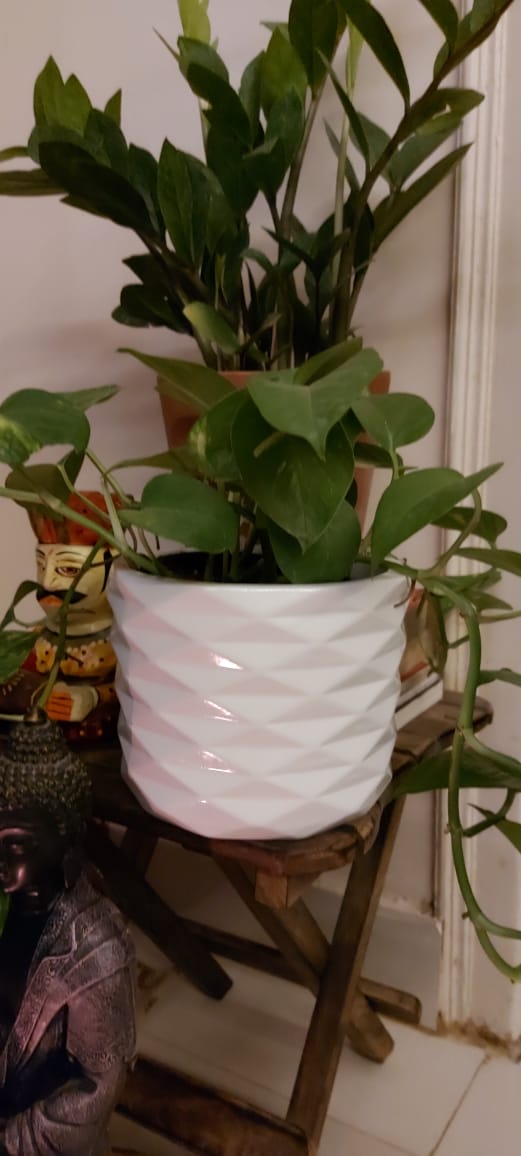 update image