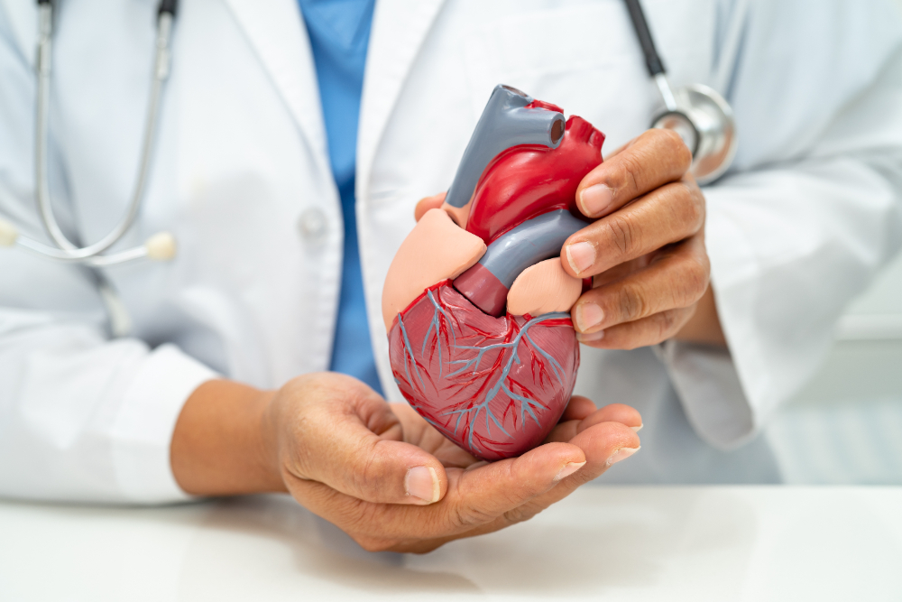 General Physician and Cardiologist Services in ... main image