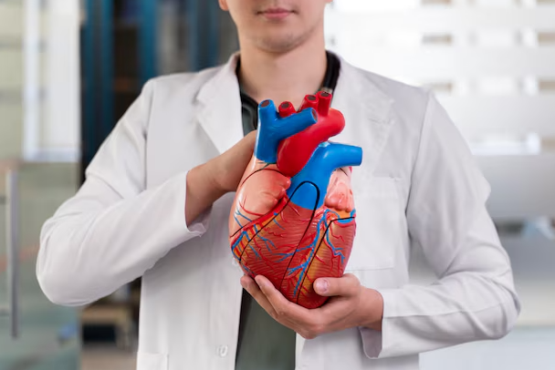 Specialized Cardiothoracic and Vascular Surgery... main image