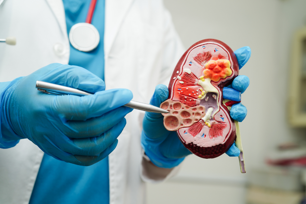 Comprehensive Urology and Andrology Services in... main image