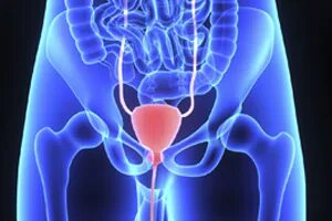 Urology Hospital in Pune: Expert Care for Your ... main image