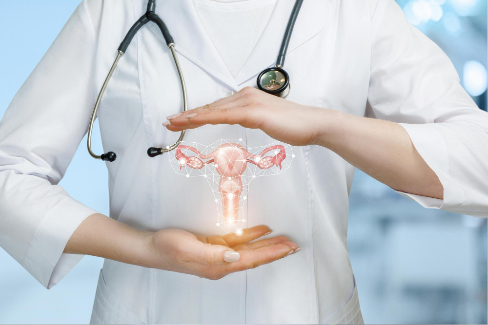 Comprehensive Gynaecology Services in Pune At O... main image