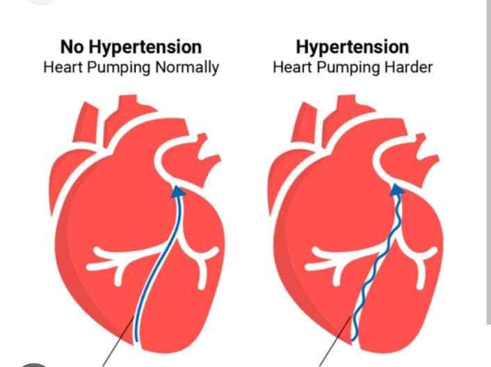 Integrity Hospital: The Best Heart Hospital in Nag... main image