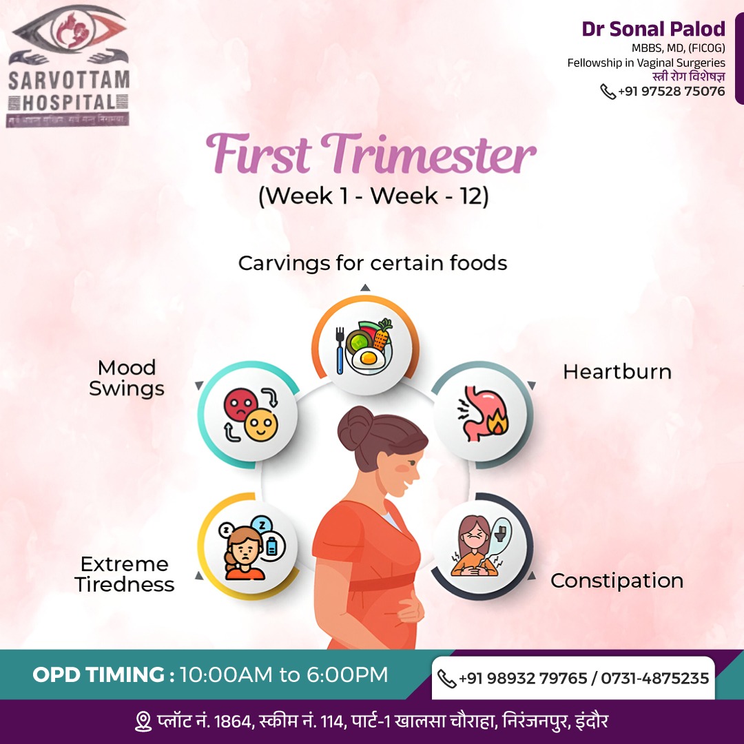 The first trimester of pregnancy (weeks 1 to 12) o... main image
