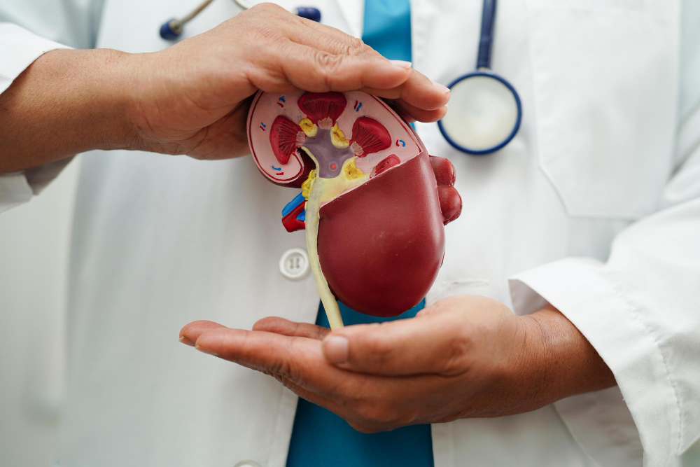 Urology: Expert Solutions for Urinary Health Pr... main image