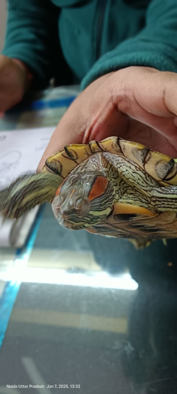 update image