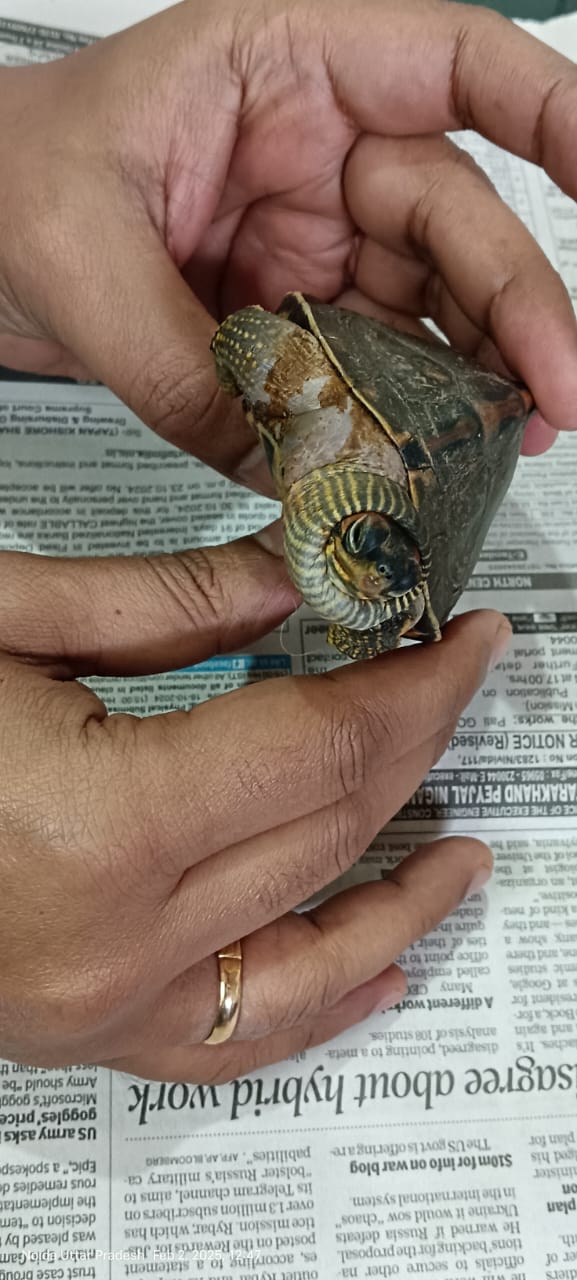 update image
